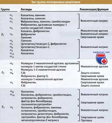Группы интегриновых рецепторов