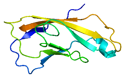 Protein CDH2 PDB 1ncg.png