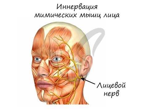Тройничный нерв