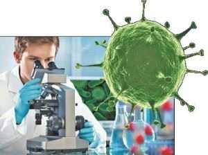 Польза и вред бактерий