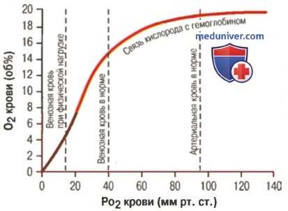 Гемоглобин. Роль гемоглобина в транспорте кислорода