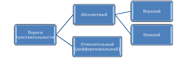 Закон Вебера-Фехнера
