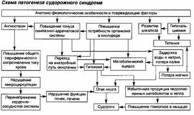 патогенез развития судорог