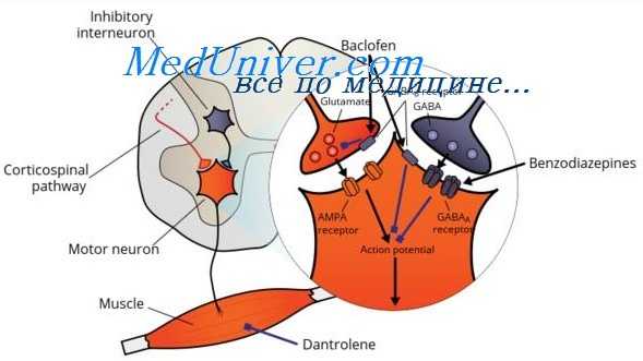 регионарная анестезия