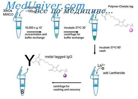 активность Т-супрессоров