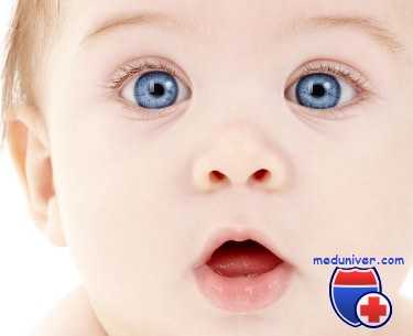 исследование сердца новорожденного