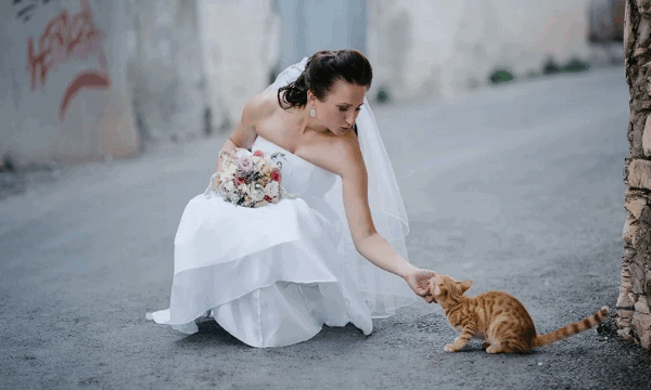 приметы со свадебным платьем