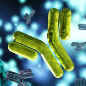 Что такое иммуноглобулины и зачем они нужны