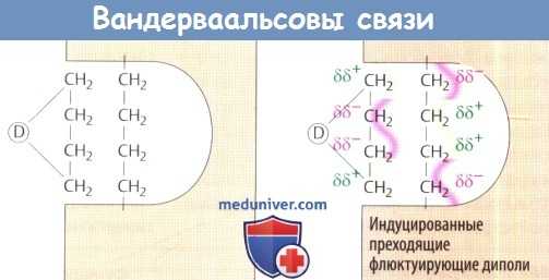Ваандервальсовы связи