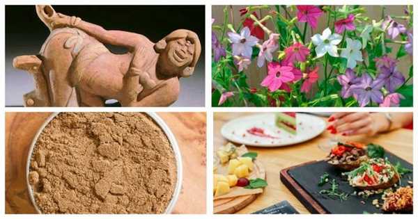 Даже если все бросят курить, табак человечеству еще пригодится