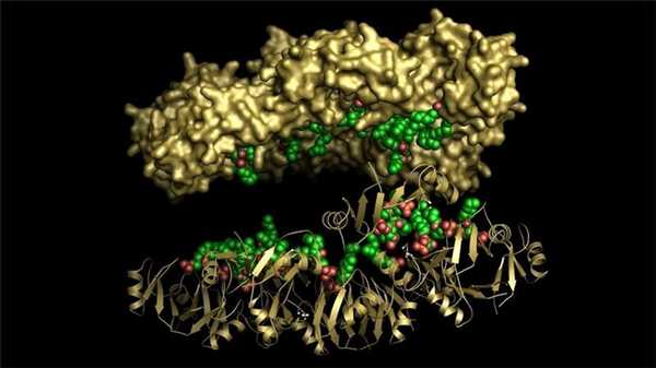 И про рак. Существуют исследования, опубликованные в серьезных научных журналах, где табак помогал в борьбе с раковыми клетками, а также болезней Альцгеймера и Паркинсона