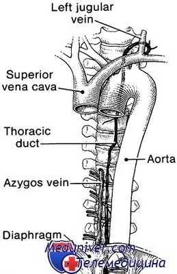 лечение травм сосудов грудной клетки