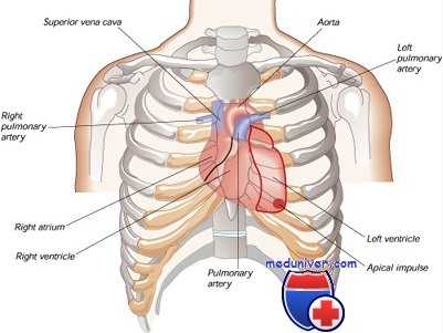 лечение травм грудной клетки