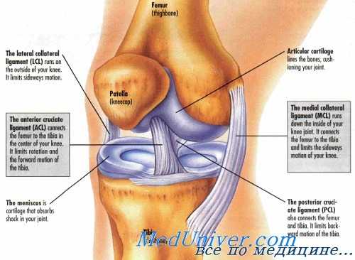 танцор балета
