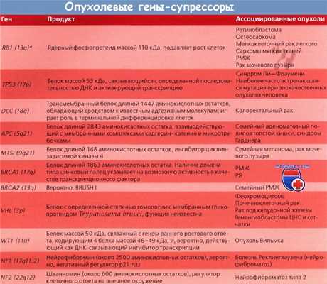 Опухолевые гены-супрессоры
