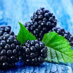 Ежевика
