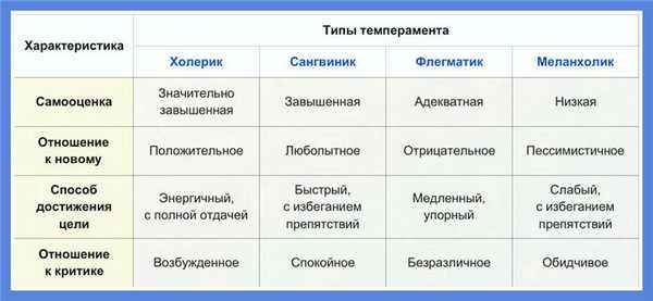 особенности темпераментов