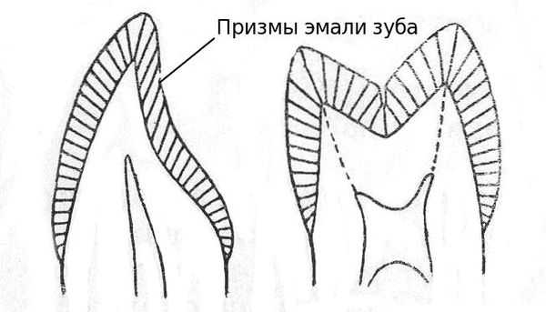 Призмы эмали