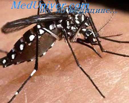 теории эпидемиологии