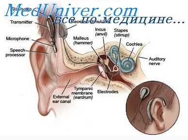 функция среднего уха