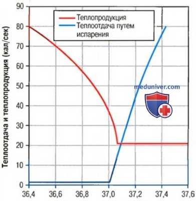 Теплопродукция. Механизмы увеличения теплопродукции