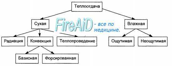 Теплоотдача. Излучение. Теплопроведение. Конвекция. Испарение.