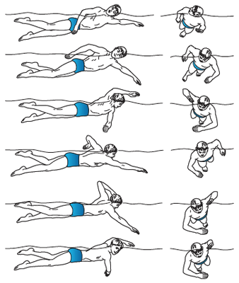 Работа в координации