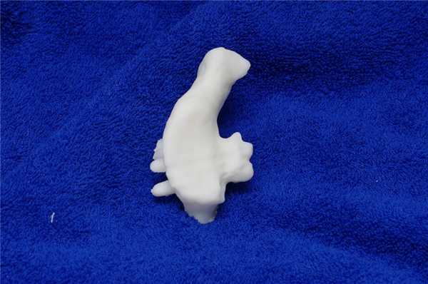 фото 7. 3D печать после Латарже (2)