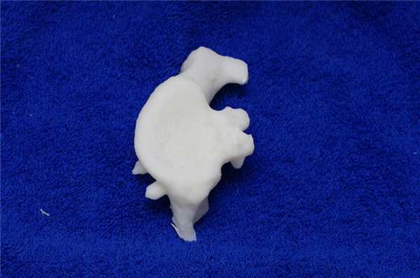 фото 7. 3D печать после Латарже (1)