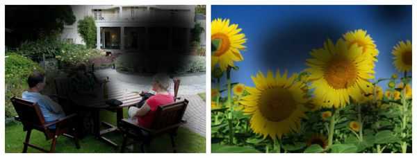 Тёмные пятна