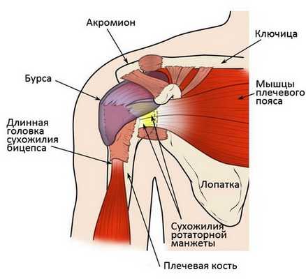 Операции на плече
