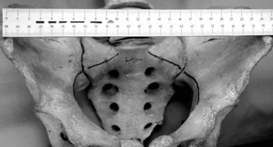 Снимок экрана 2014-09-09 в 0.24.00