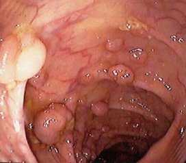 Описание: слайд 5