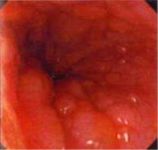 Описание: слайд 4