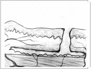 Снимок экрана 2014-02-07 в 16.07.29
