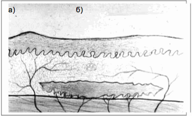 Снимок экрана 2014-02-07 в 16.07.16