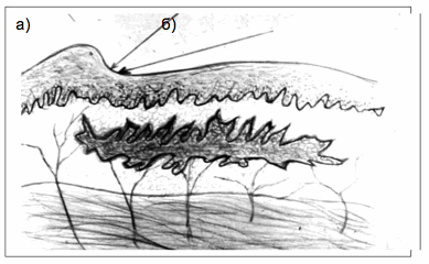 Снимок экрана 2014-02-07 в 16.06.51