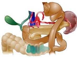 гастрэктомия ход операции