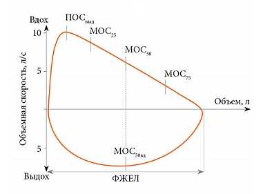 Нормальный вид петли «поток-объем»