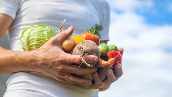Нарушение переваривания и расщепления белка в желудке