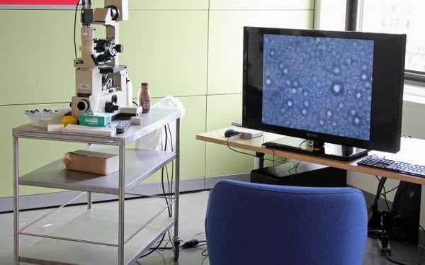 Коагуляция коллоидных растворов