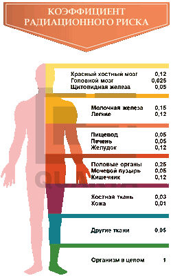Коэффициент радиационного риска