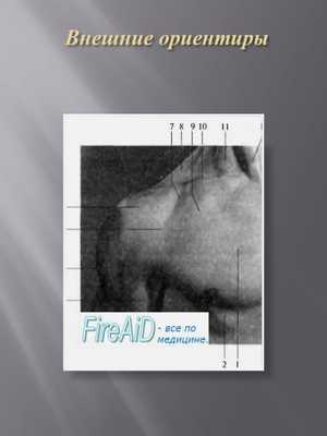 Внешние ориентиры