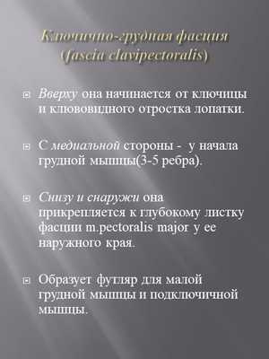 Ключично-грудная фасция (fascia clavipectoralis)Вверху она начинается от ключ. 