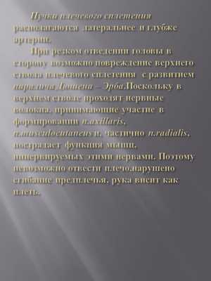 Пучки плечевого сплетения располагаются латеральнее и глубже артерии. 