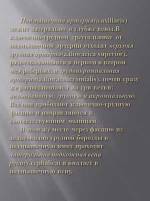 Подмышечная артерия(a.axillaris) лежит латерально и глубже вены.В ключи. 