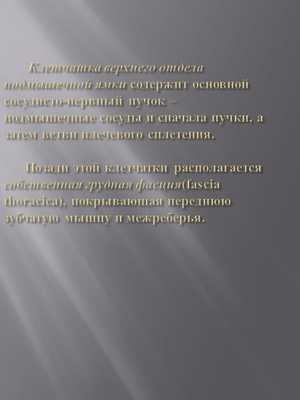 Клетчатка верхнего отдела подмышечной ямки содержит основной сосудисто. 