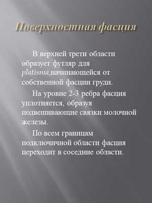 Поверхностная фасция В верхней трети области образует футляр для pla. 