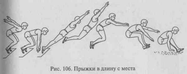 Схематическое изображение прыжка в длину с места