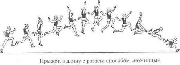 Схематическое изображение прыжка в длину с разбега